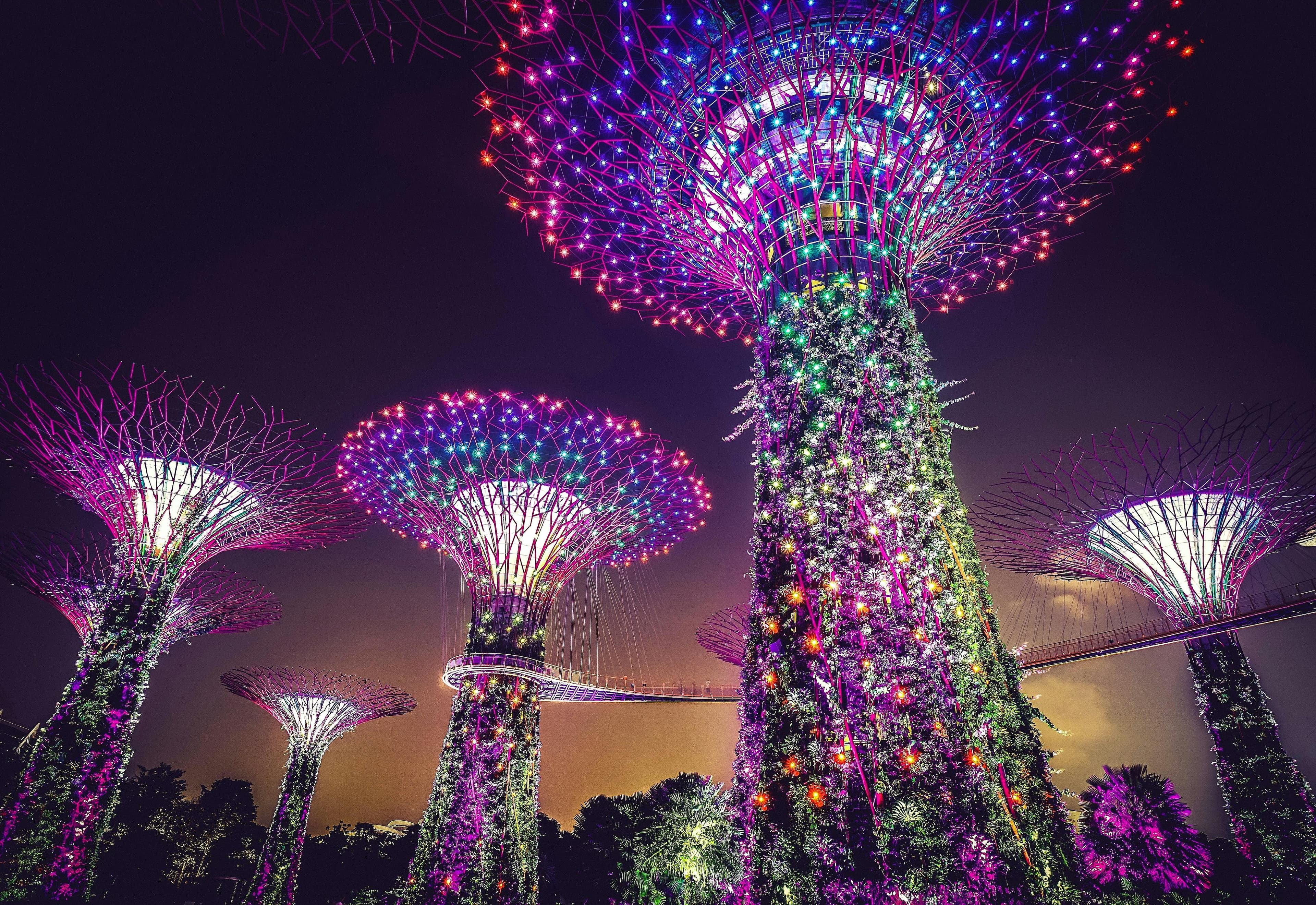 Honeymoon Special Singapore slide 5