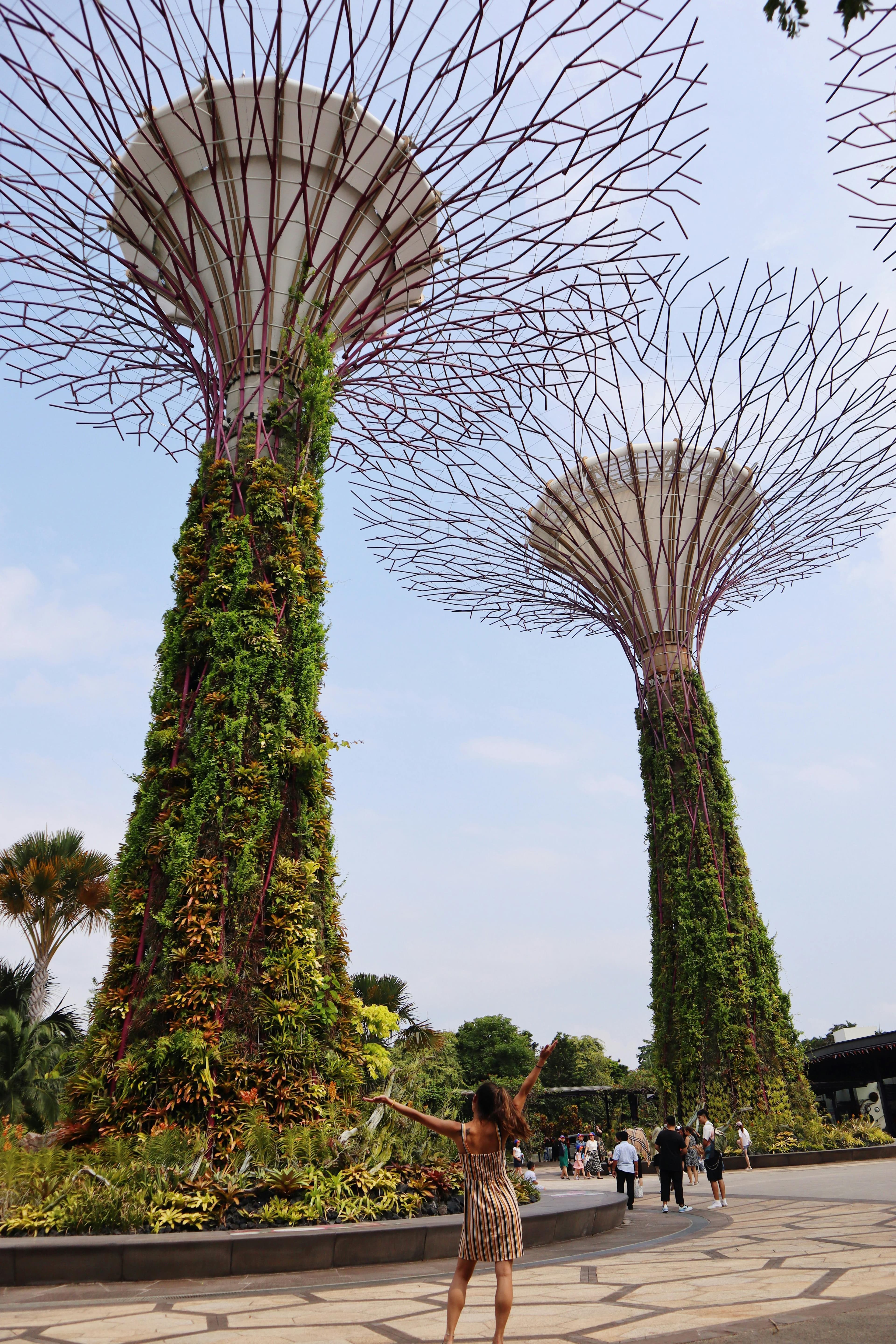 Singapore Heritage & Skyline Explorer – 4D3N slide 1