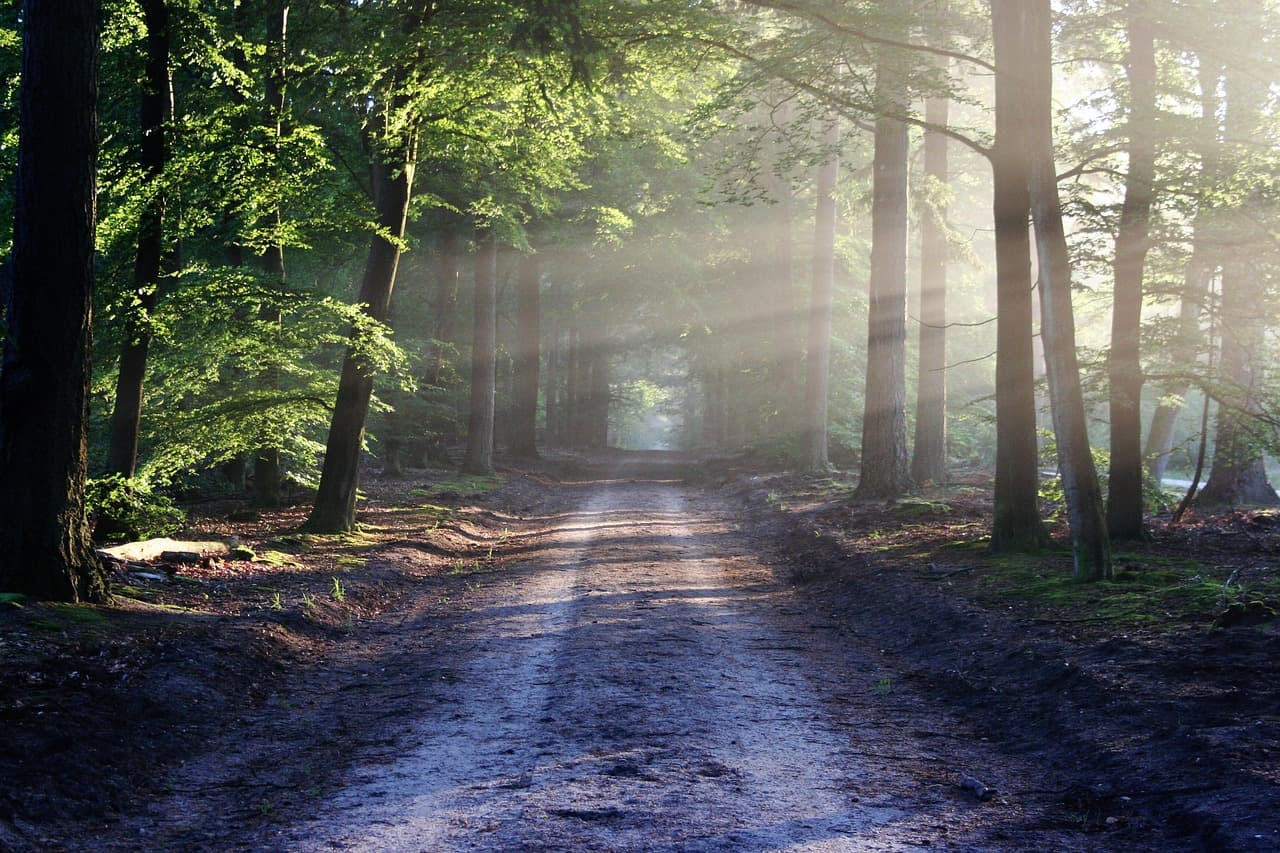 Nature, Adventure & Hidden Trails