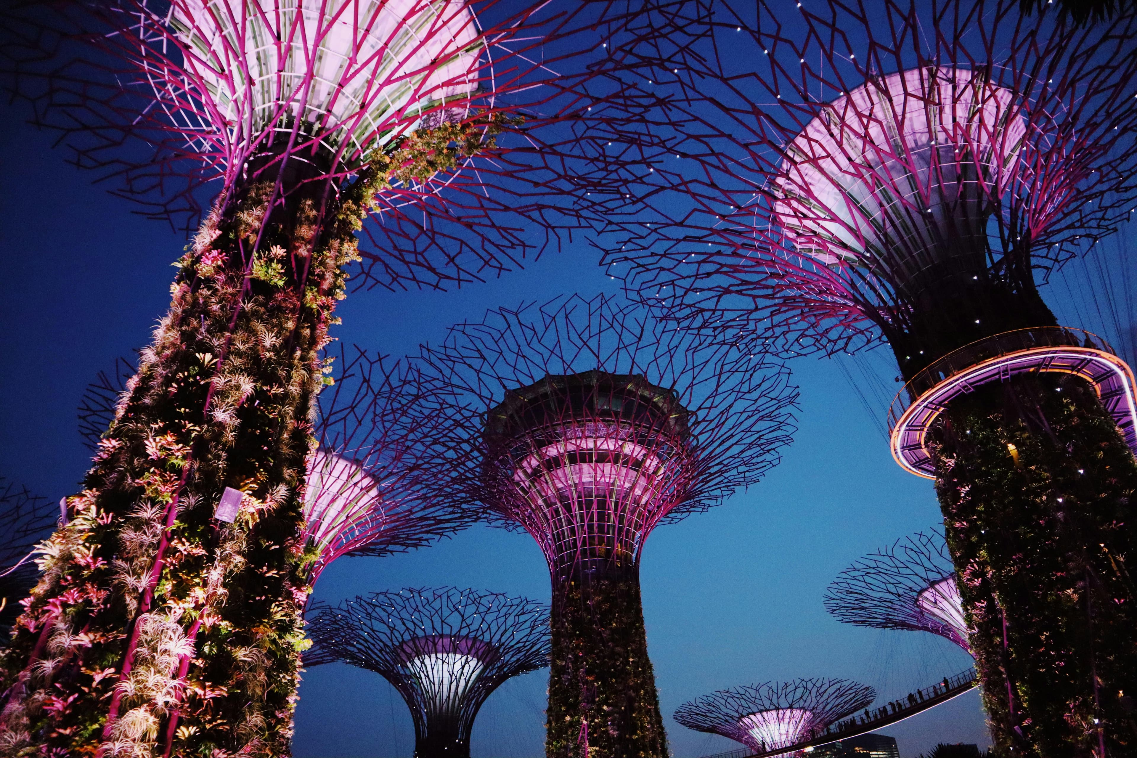 Singapore Family & Kids Explorer – 4D3N slide 4