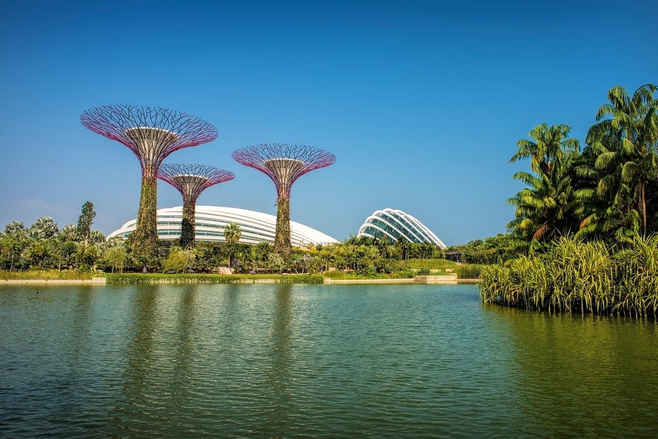 Orchard Road Shopping + Gardens by the Bay