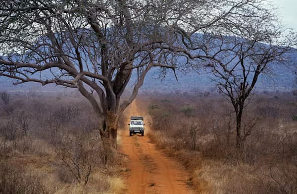 Udawalawe Safari Adventure