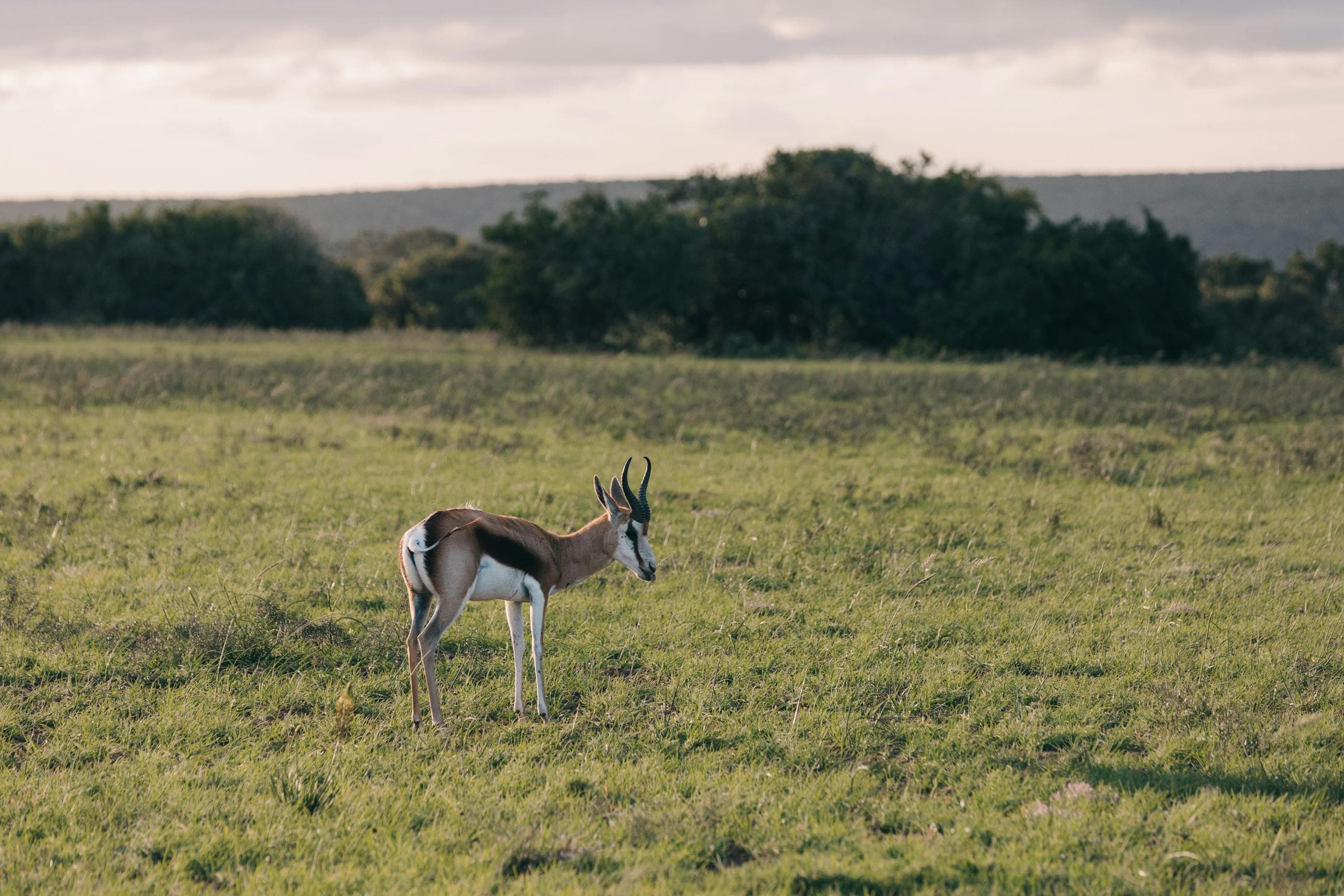 Classic Tanzania Safari Adventure slide 1