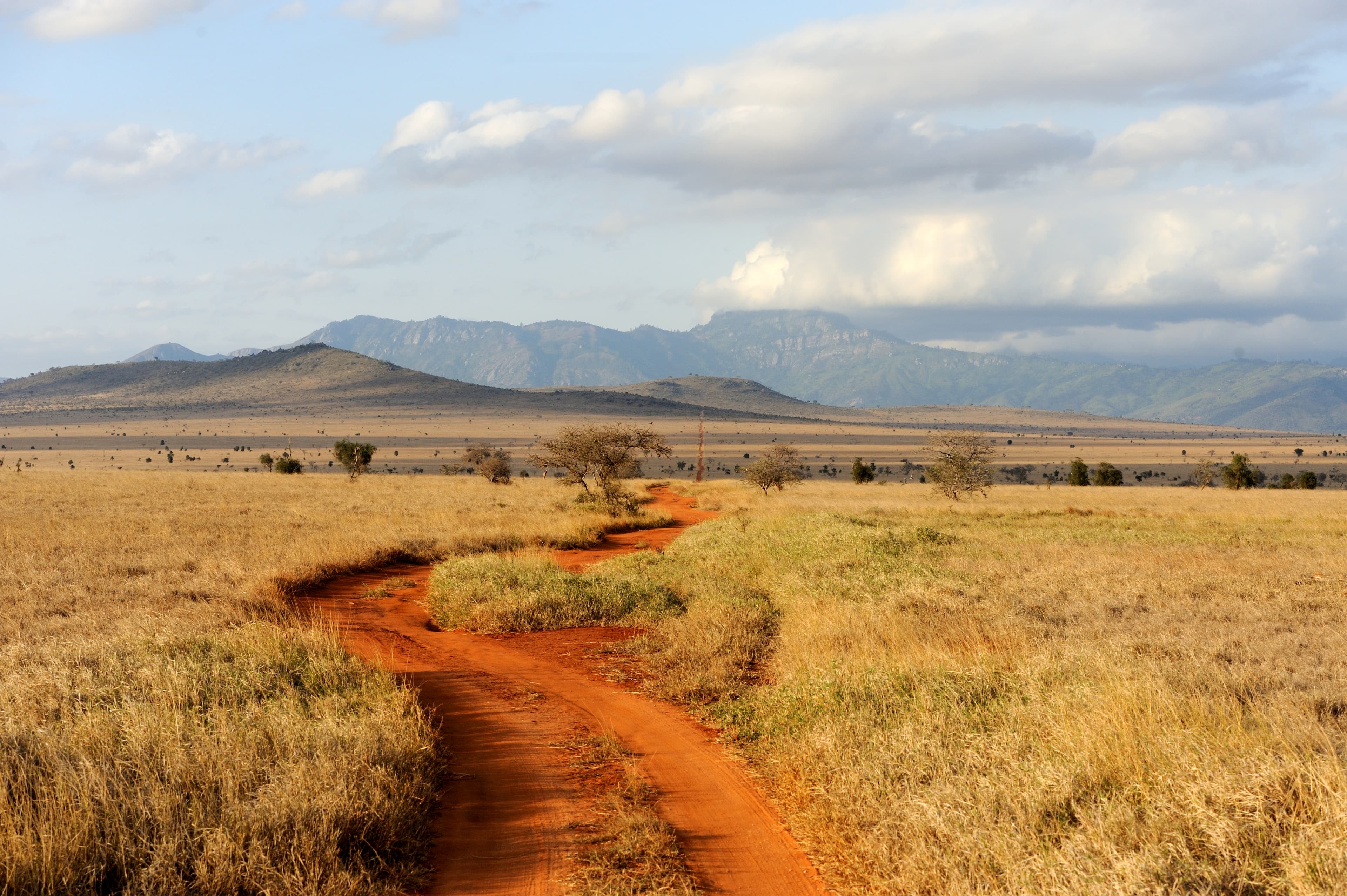 Classic Tanzania Safari Adventure slide 3