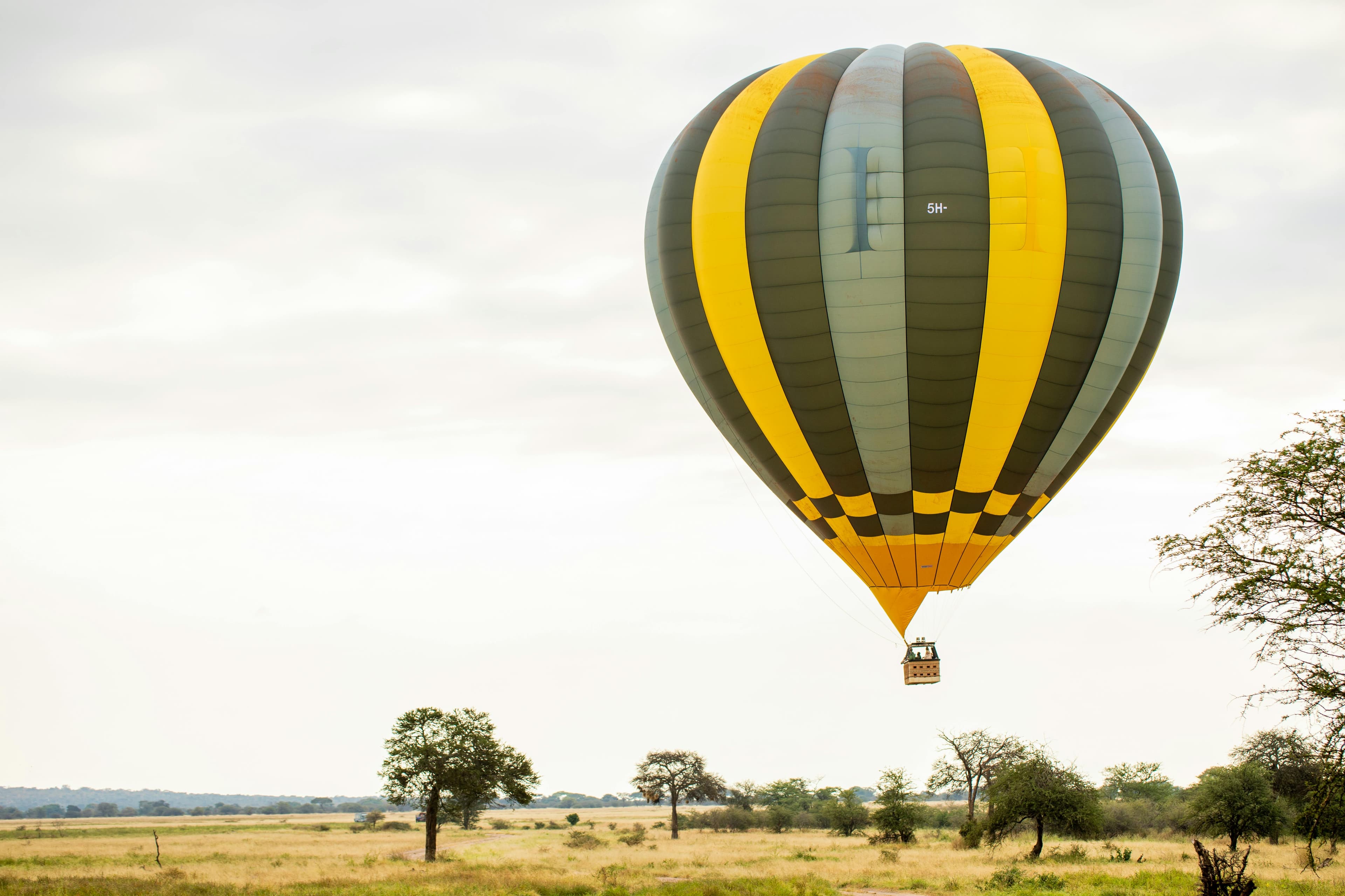 Arusha to Tarangire National Park