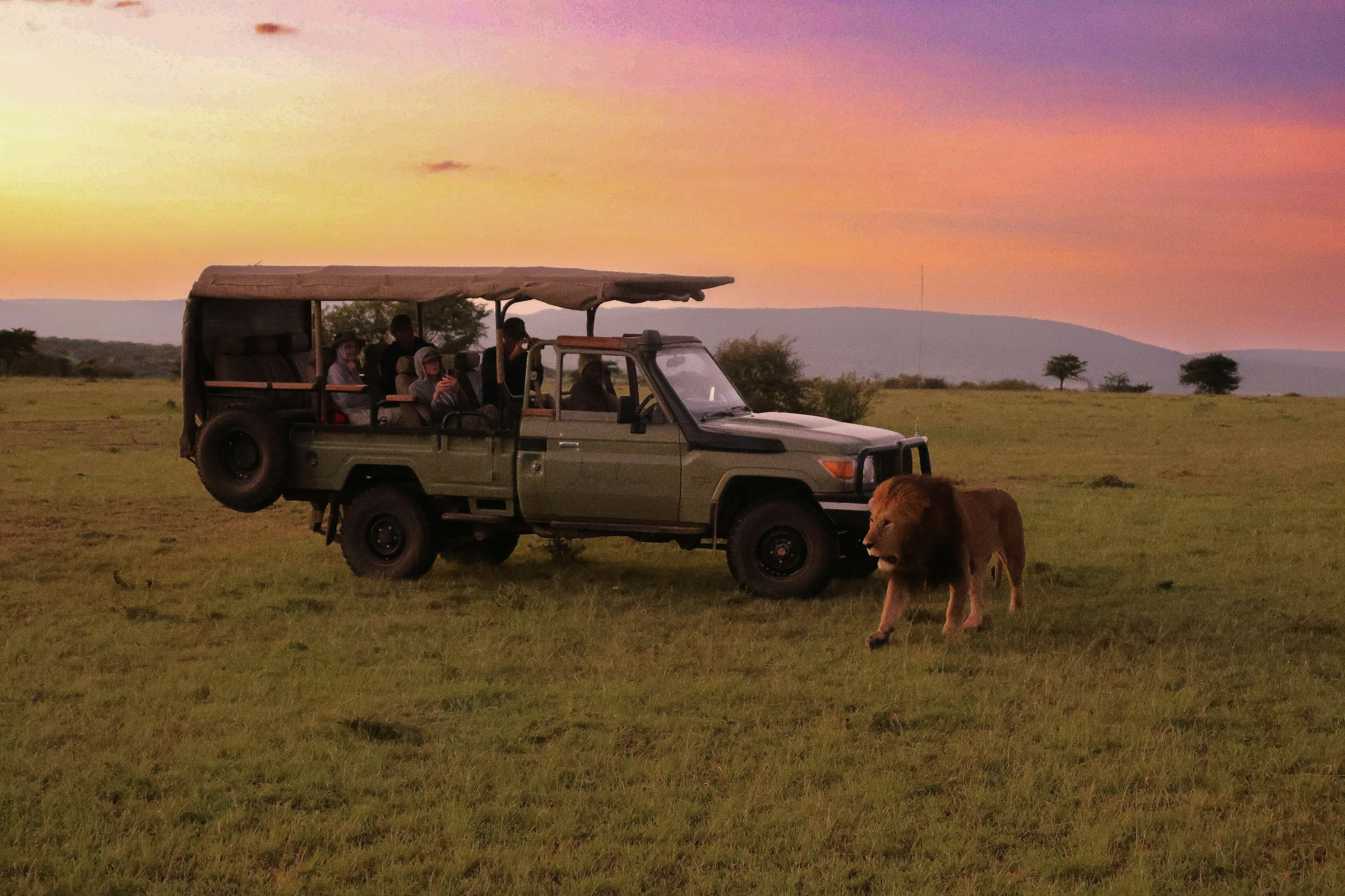 Full-Day Serengeti Safari
