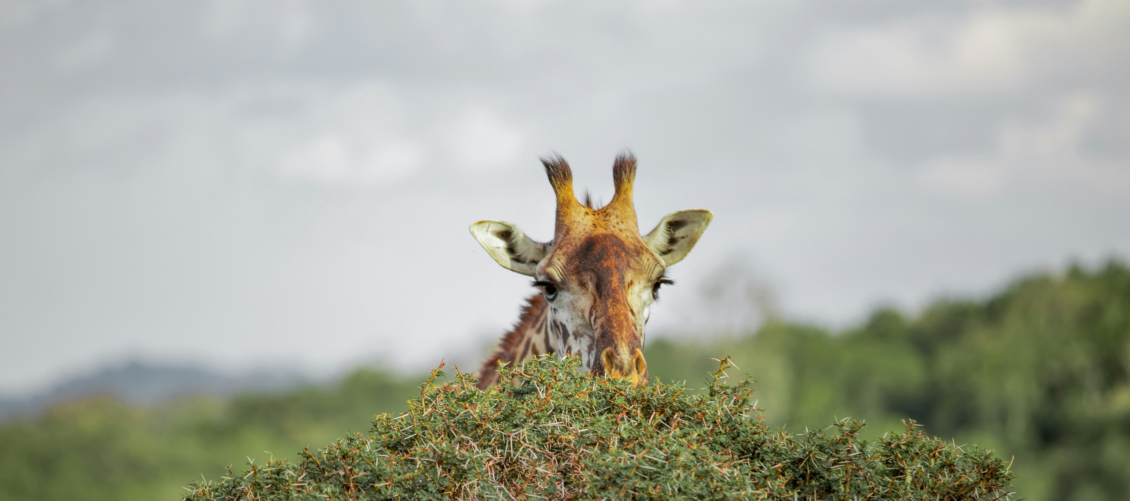 Luxury Tanzania Safari Signature Journey slide 1
