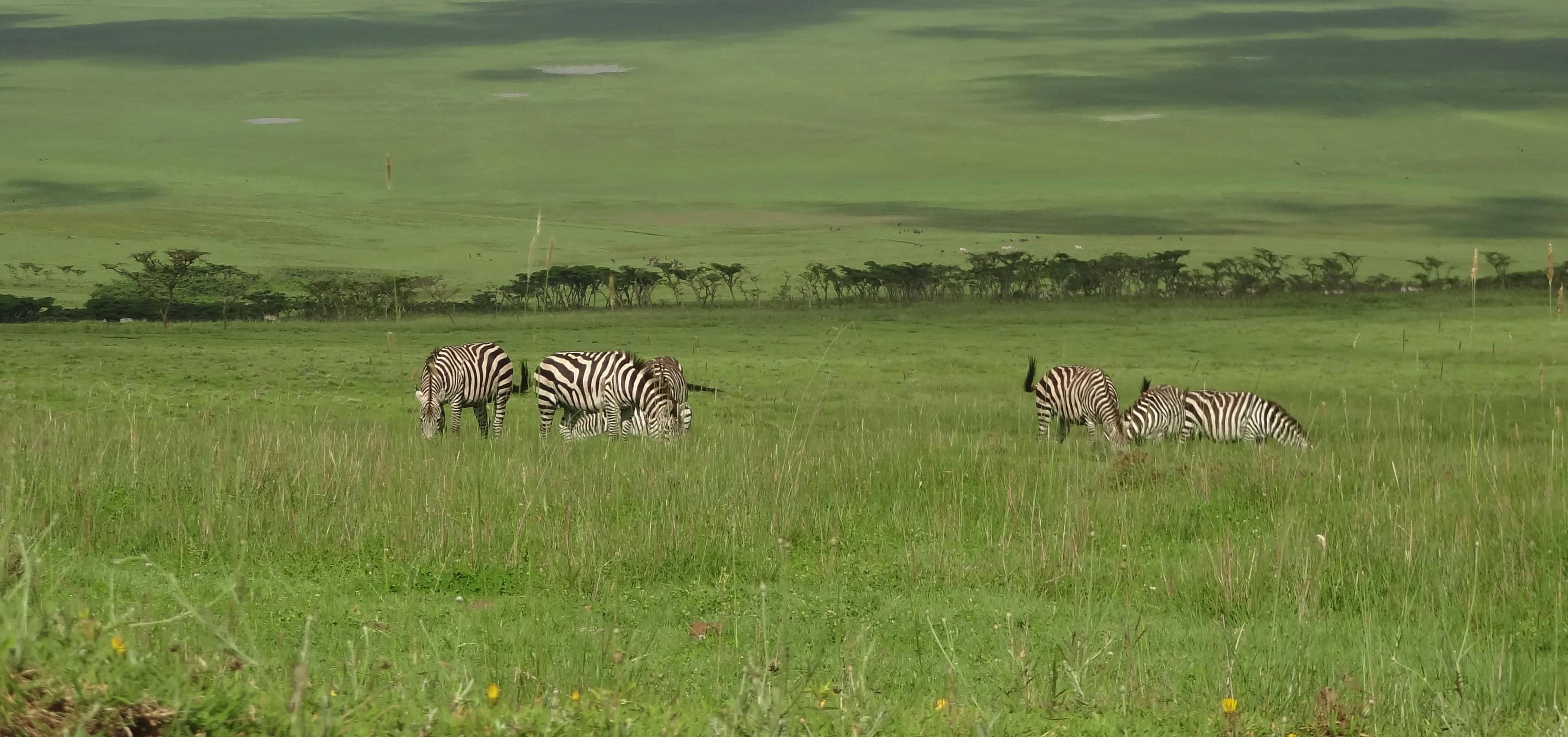 Luxury Tanzania Safari Signature Journey slide 3