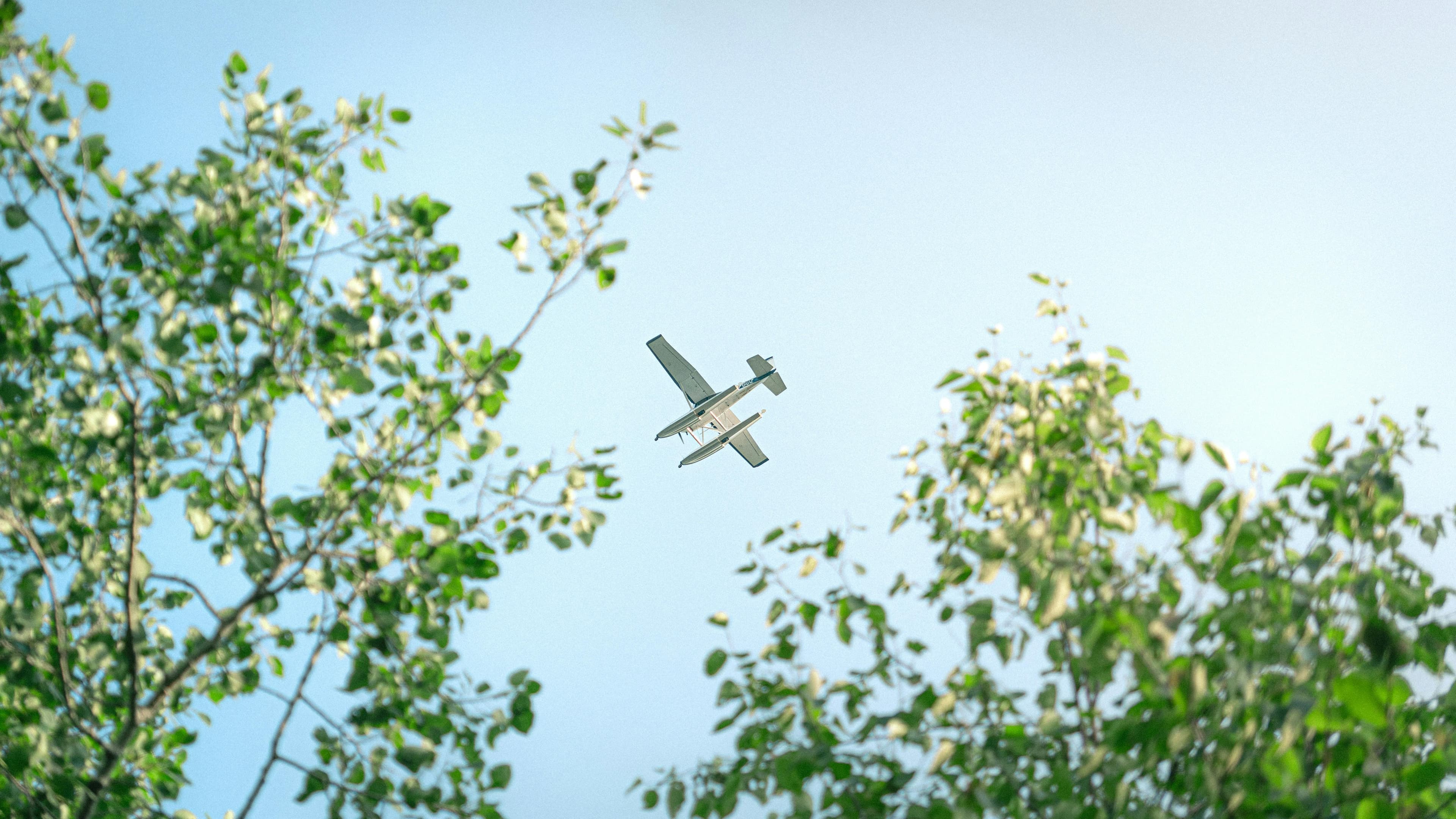 Fly to Serengeti – Into the Wild