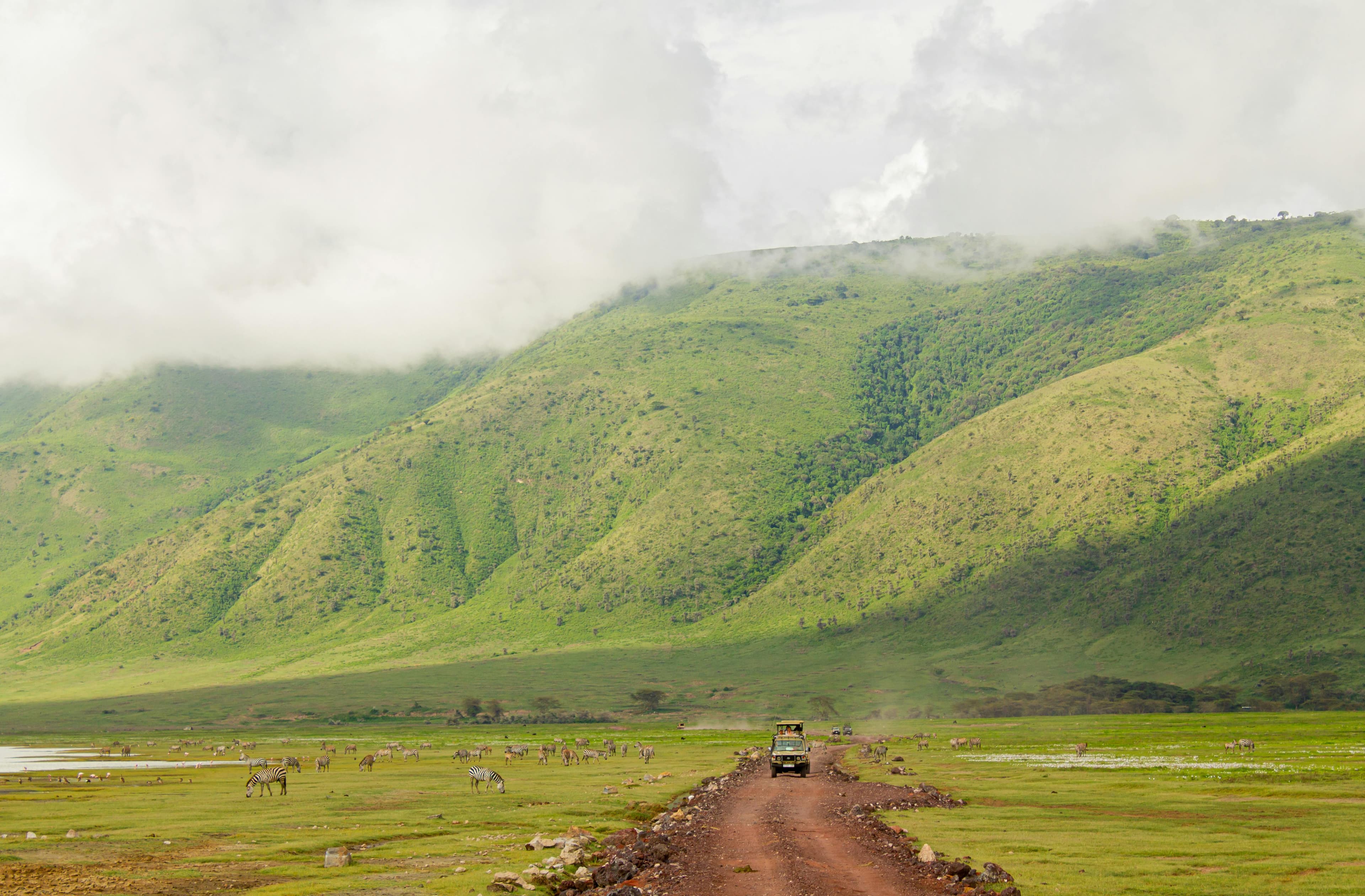 Serengeti to Ngorongoro – Crater Rim Luxury