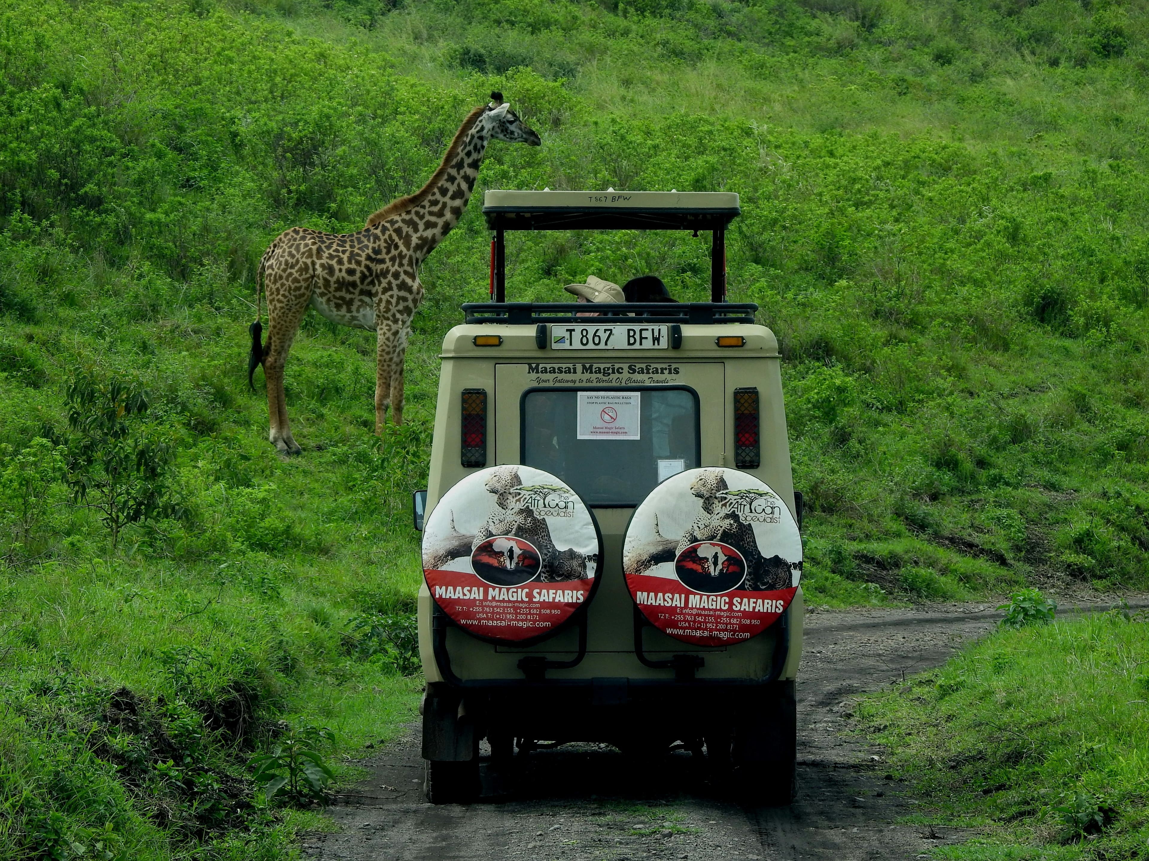 Ngorongoro Crater Safari – A Natural Wonder