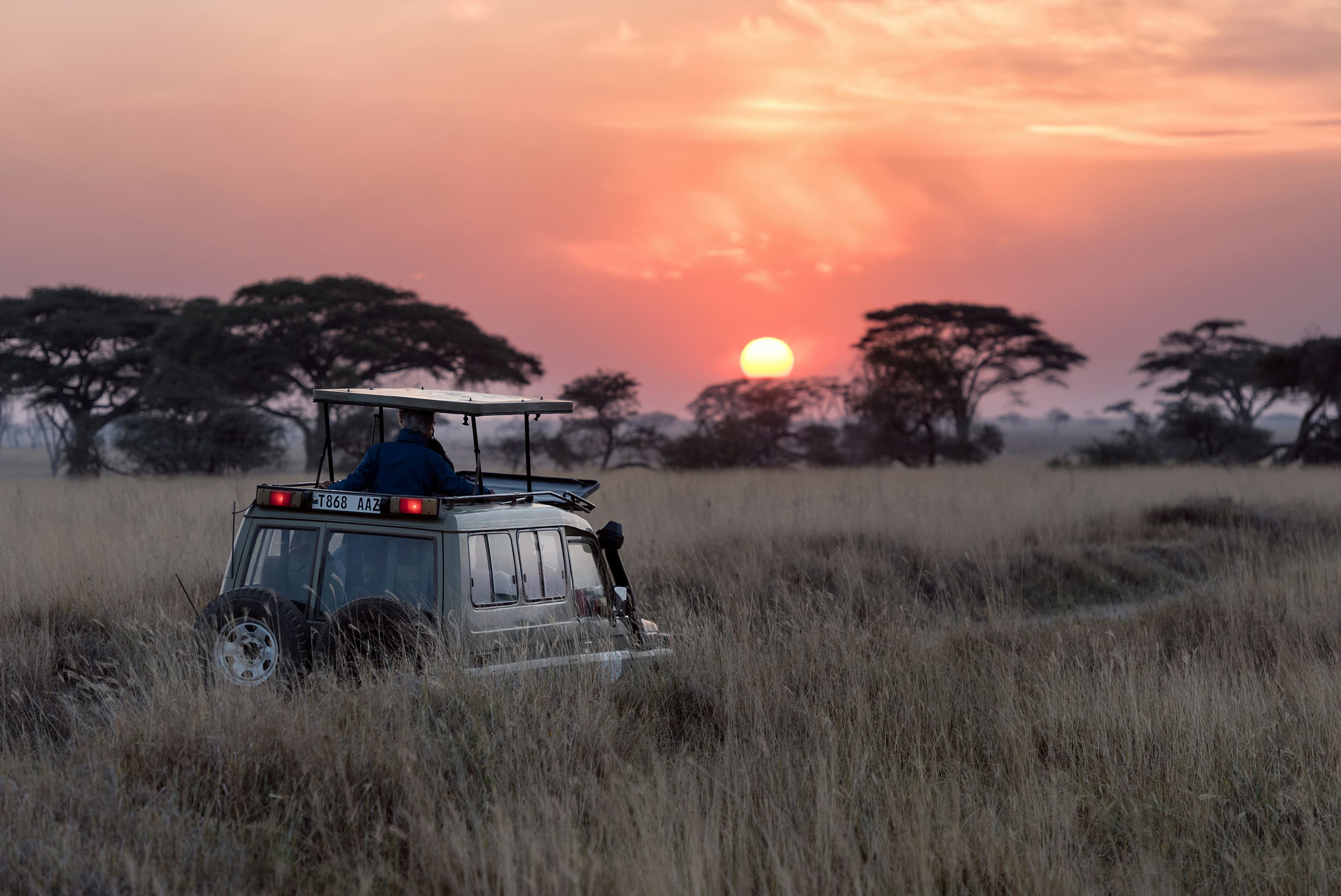 Luxury Tanzania Safari Signature Journey