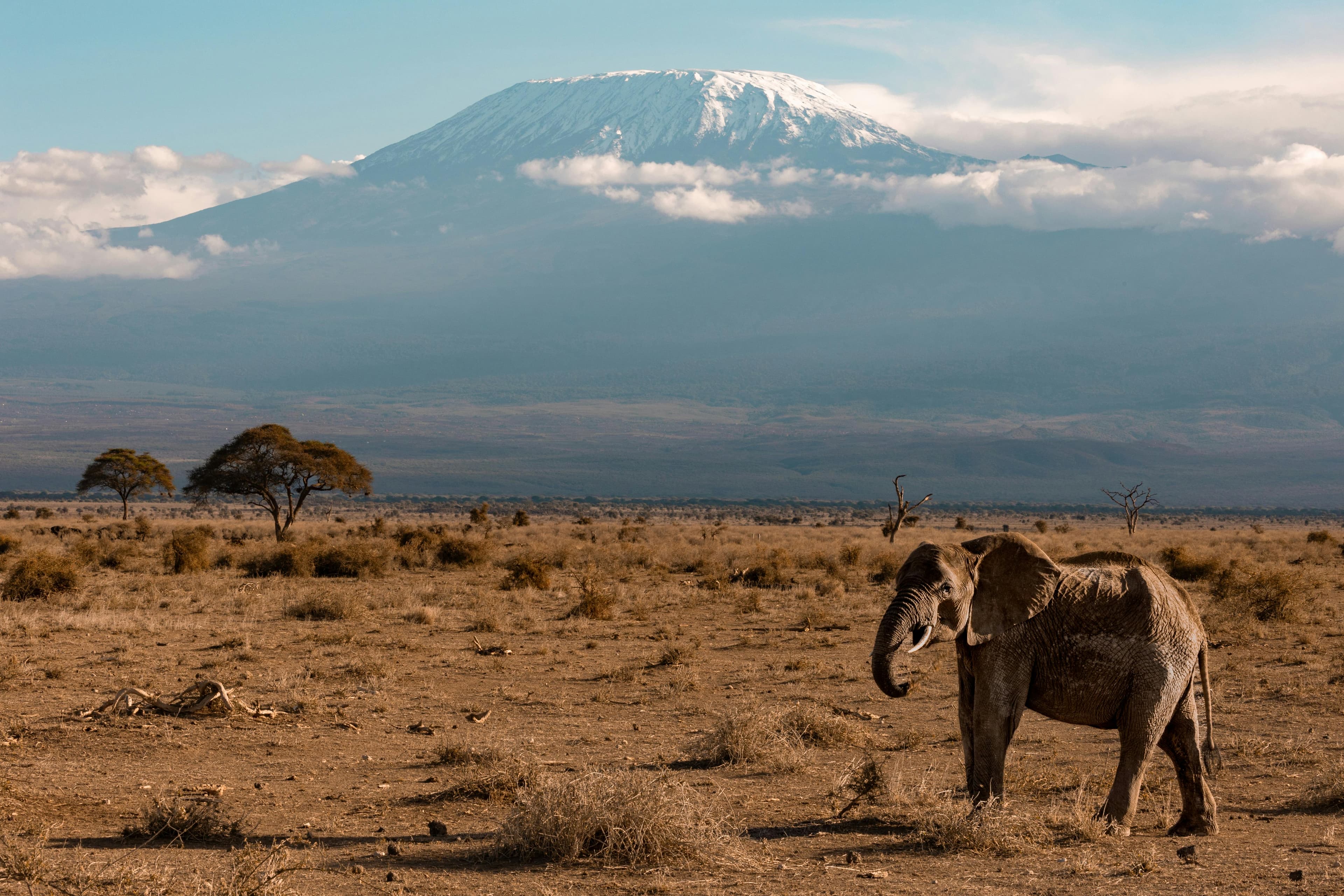 Tanzania