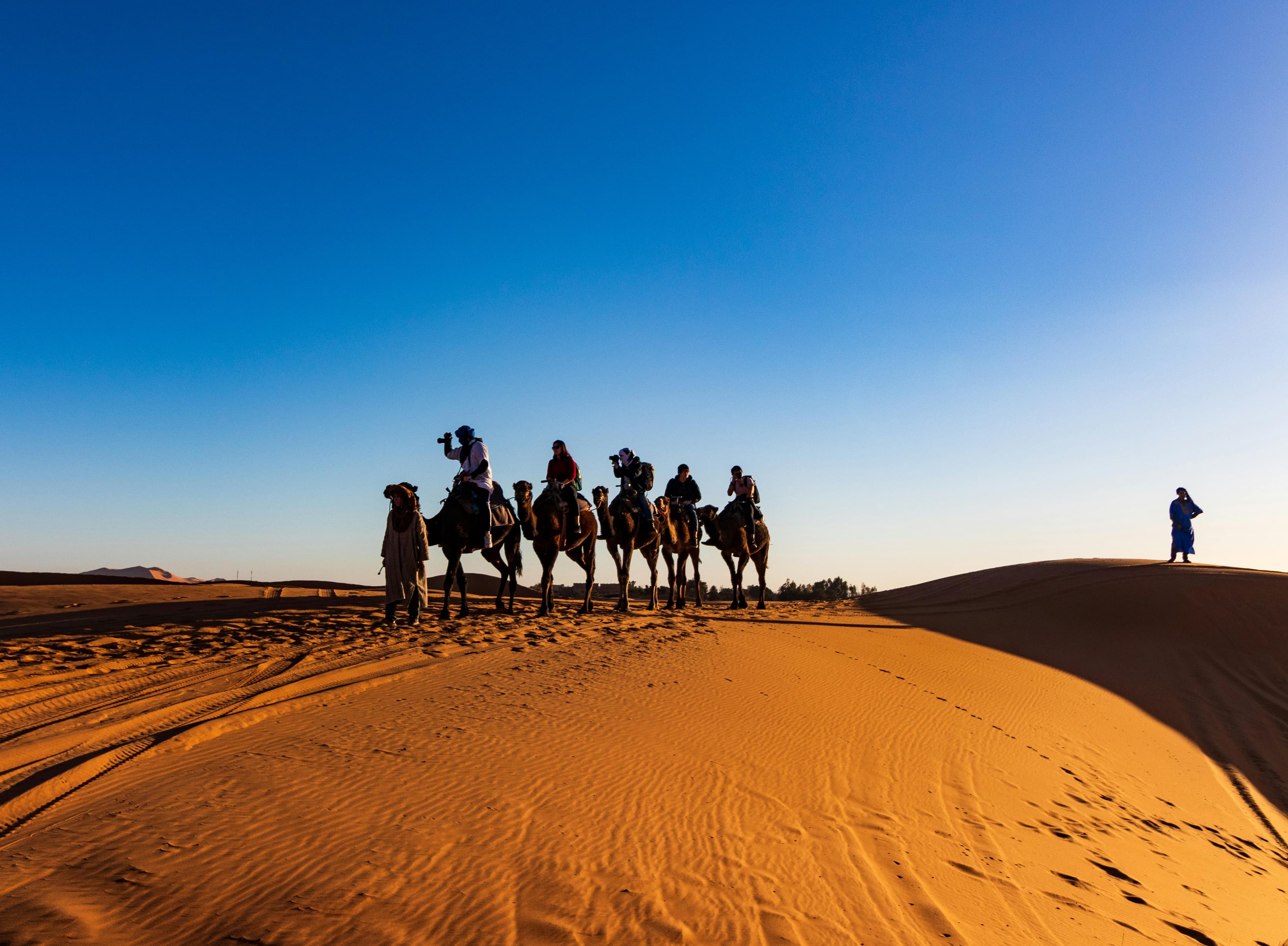 Desert Safari & Family Activities
