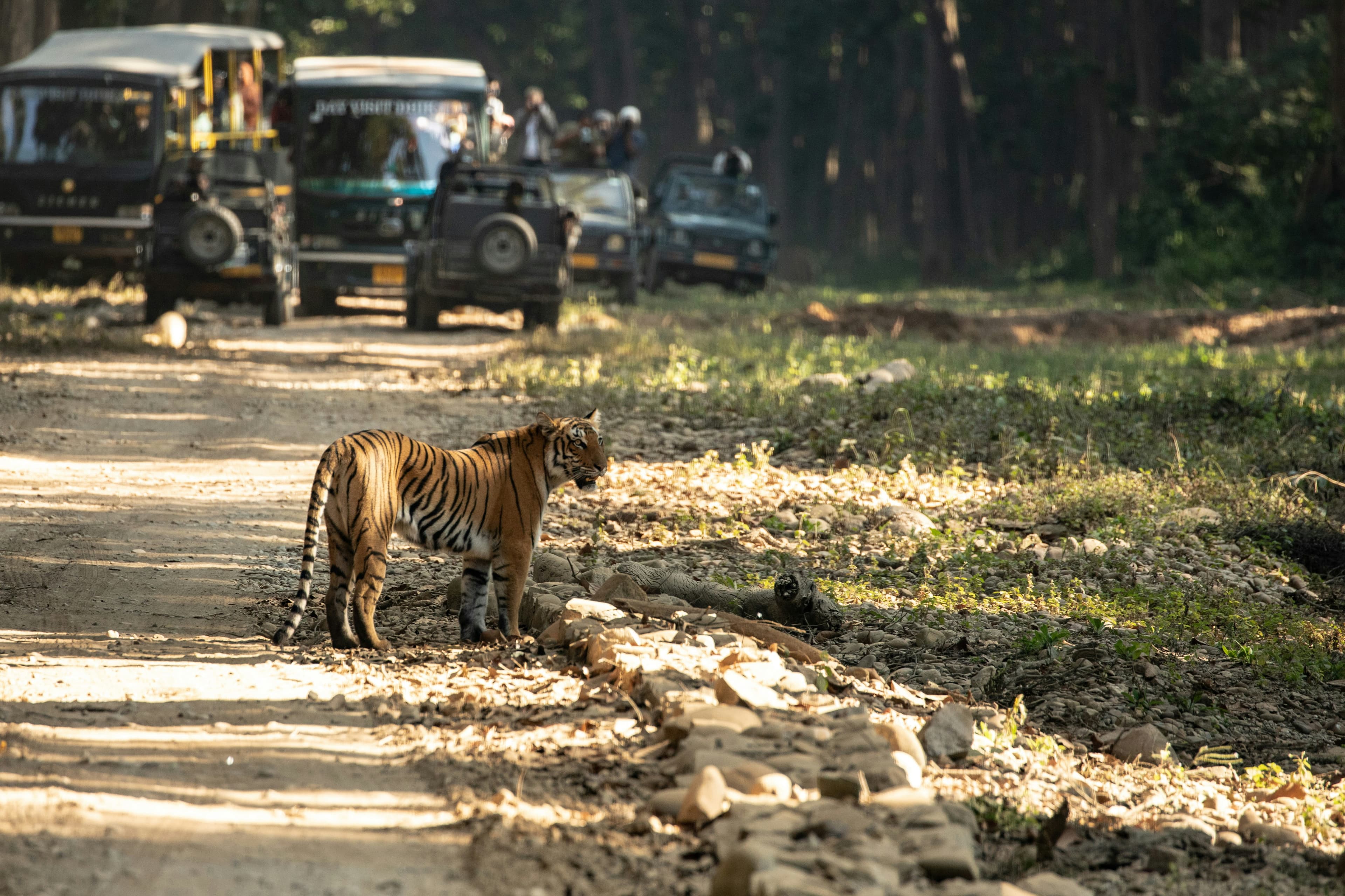 Romantic Uttarakhand – Mussoorie, Dhanaulti & Corbett slide 4