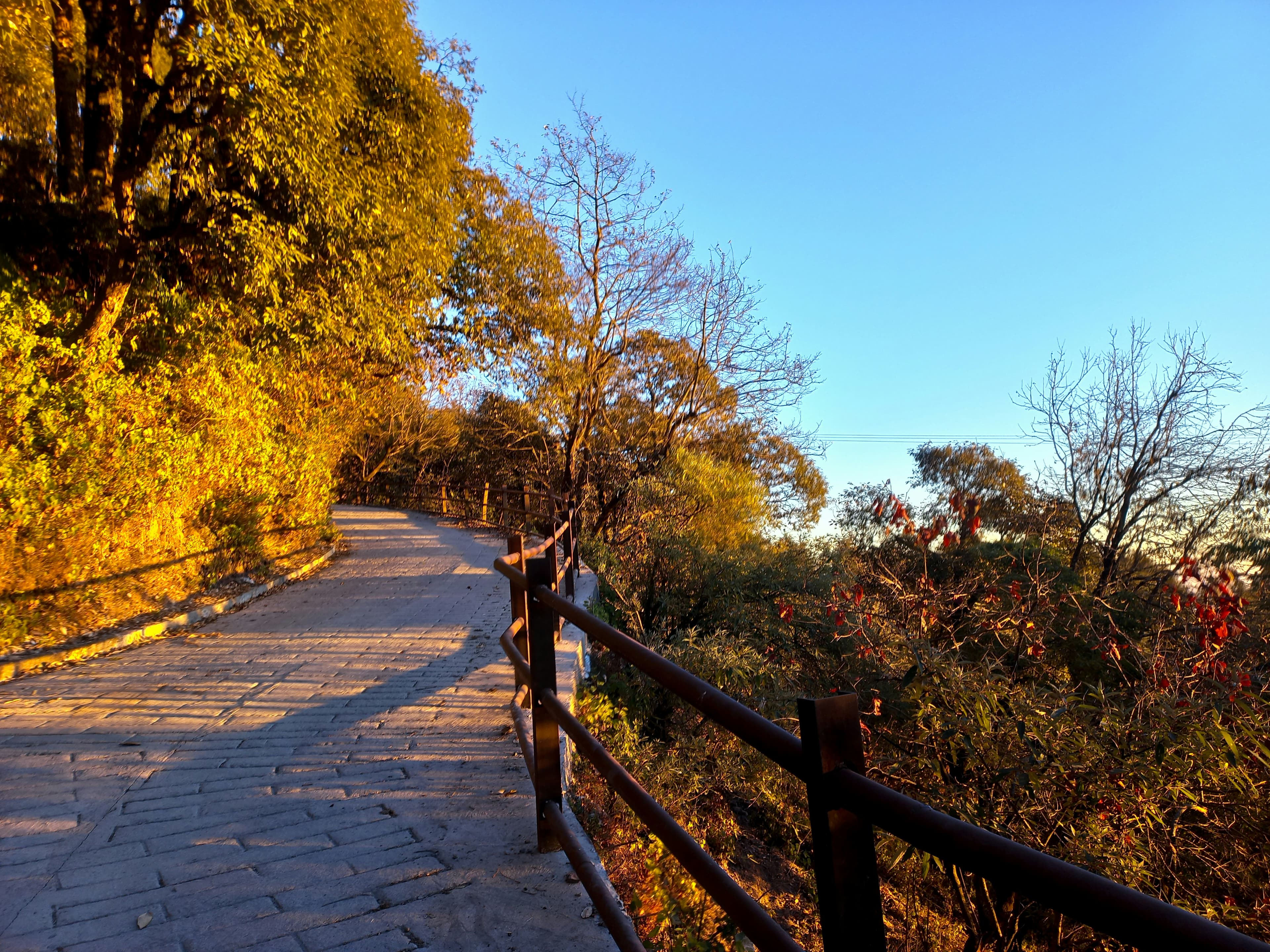 Explore Mussoorie – Nature & Hill Romance