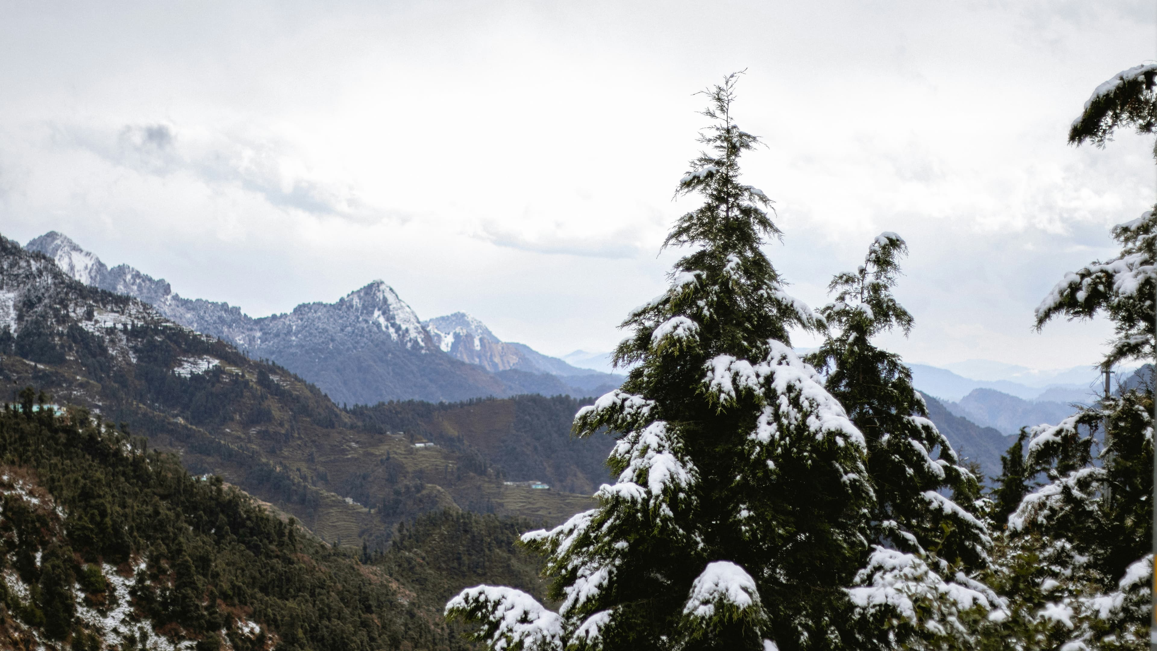 Mussoorie to Dhanaulti – Boutique Escape