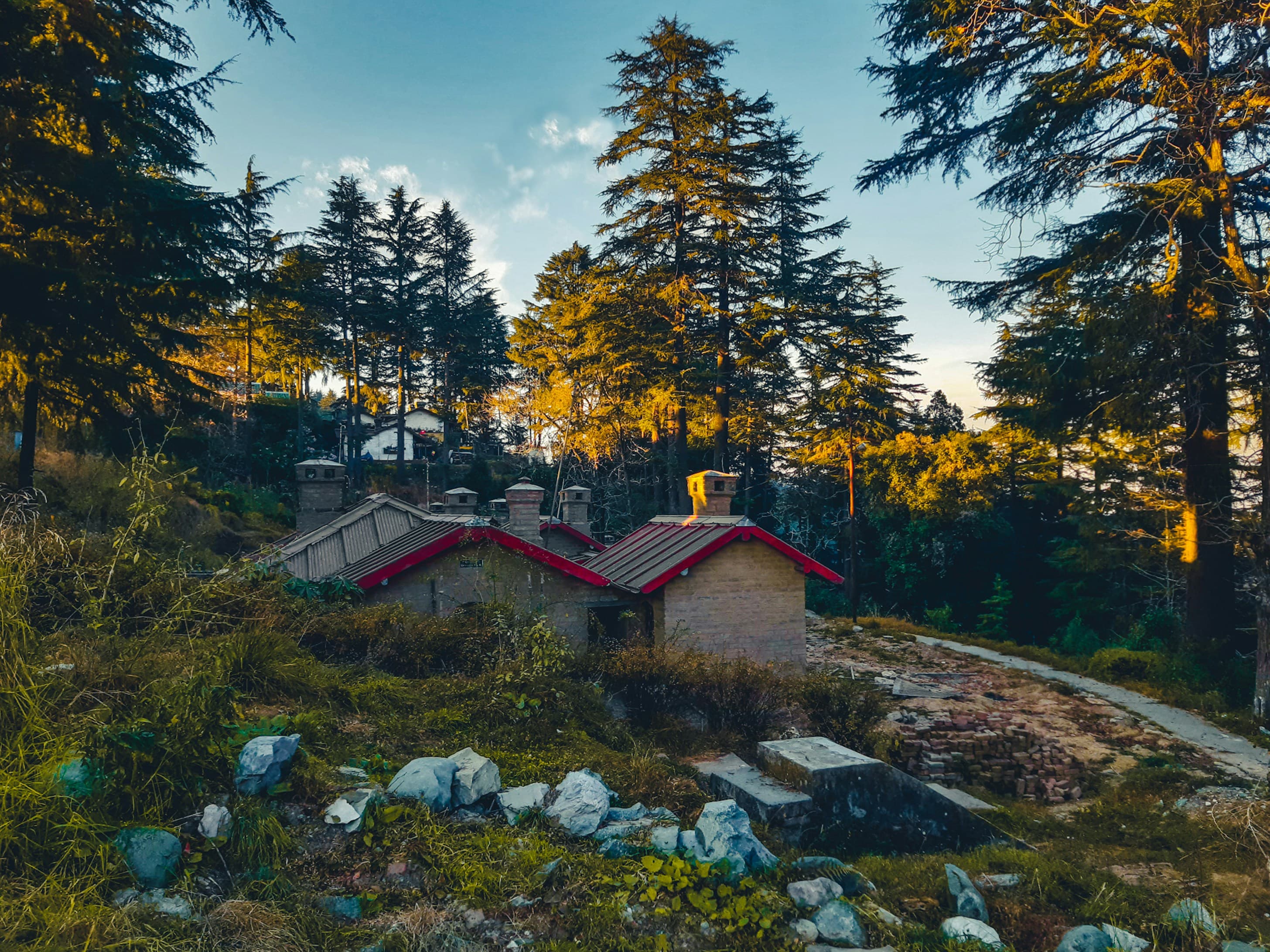 Free Day or Mukteshwar Excursion