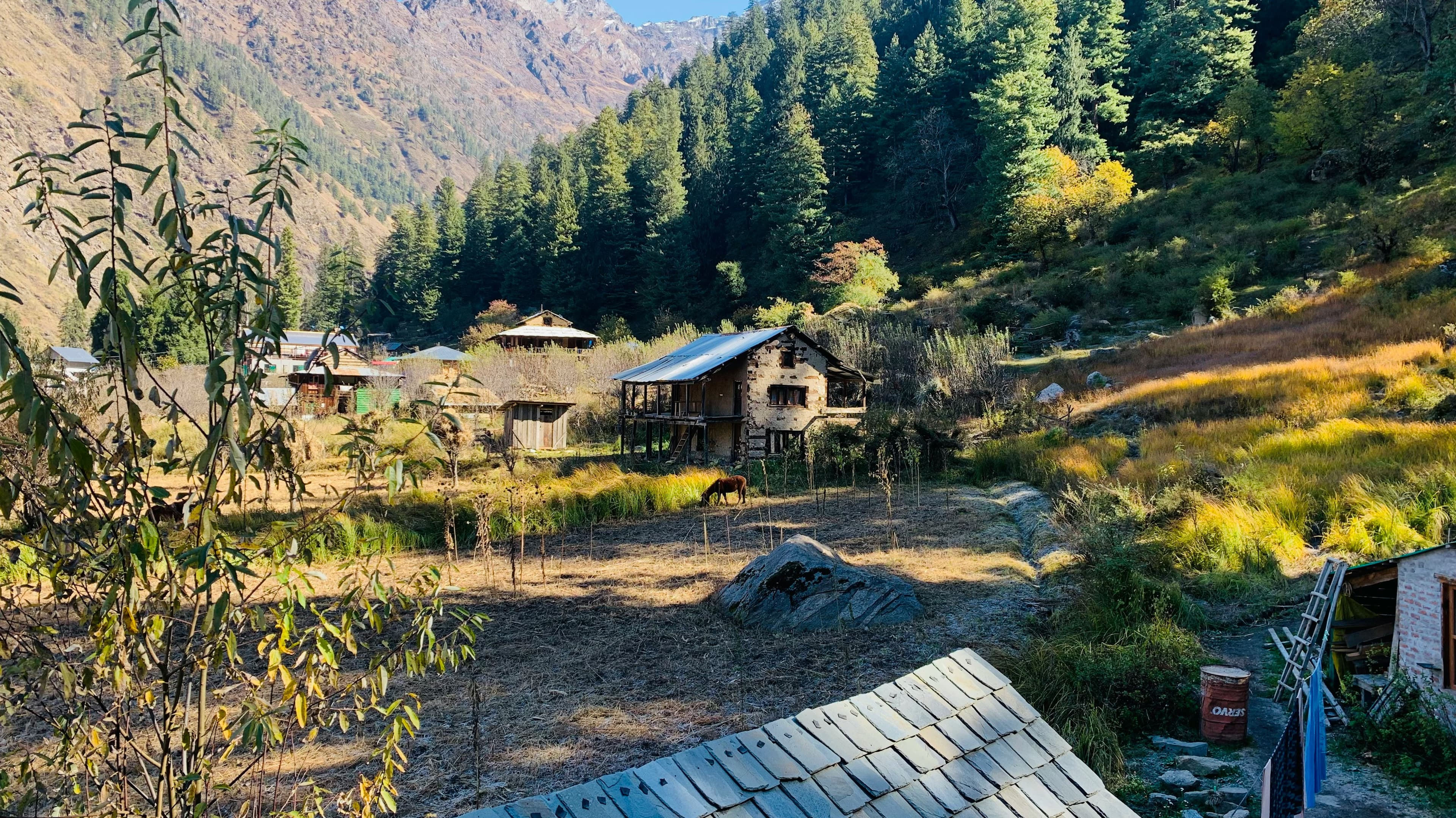 Drive to Chopta
