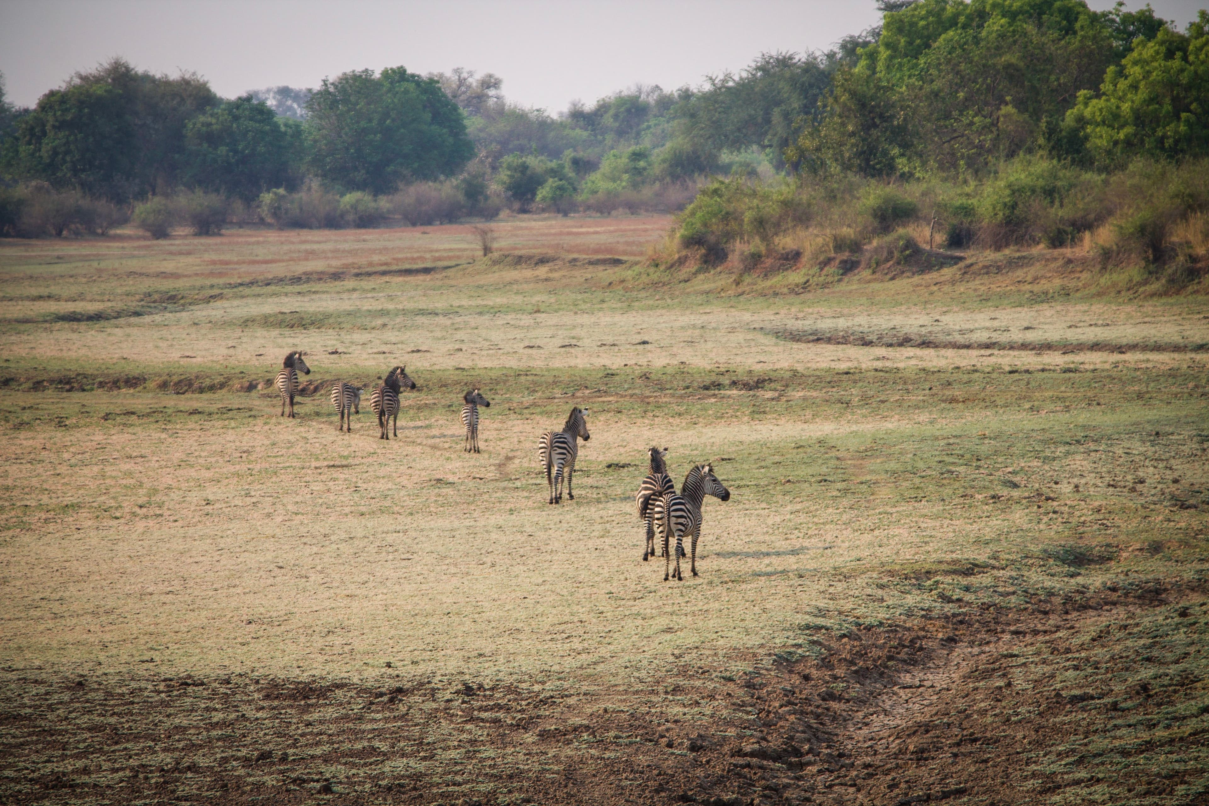 Zambia Safari Experience slide 3