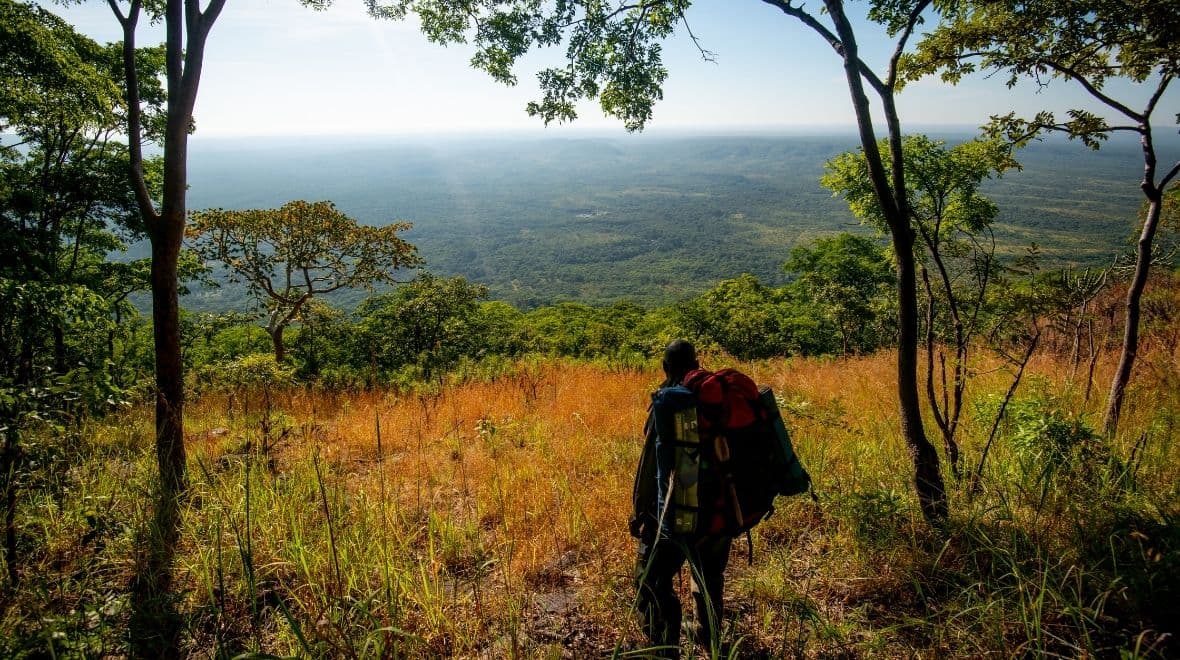 Transfer to South Luangwa National Park