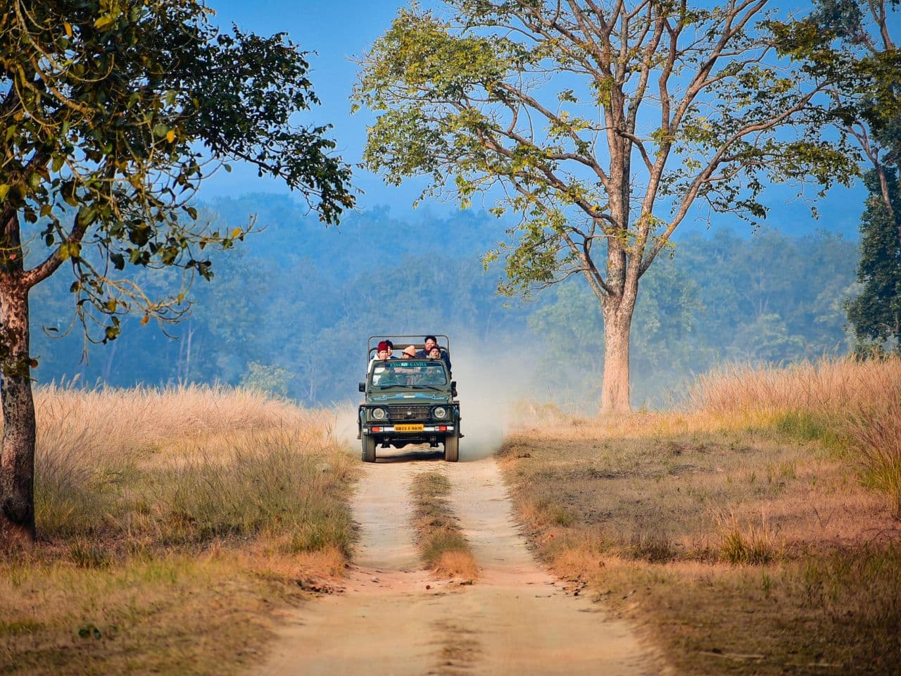 Safari in South Luangwa