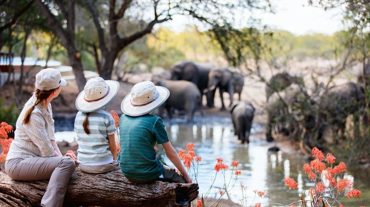 More Safari & Relaxation