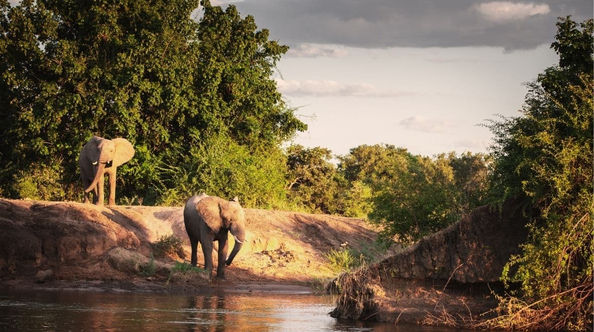 Transfer to Lower Zambezi National Park