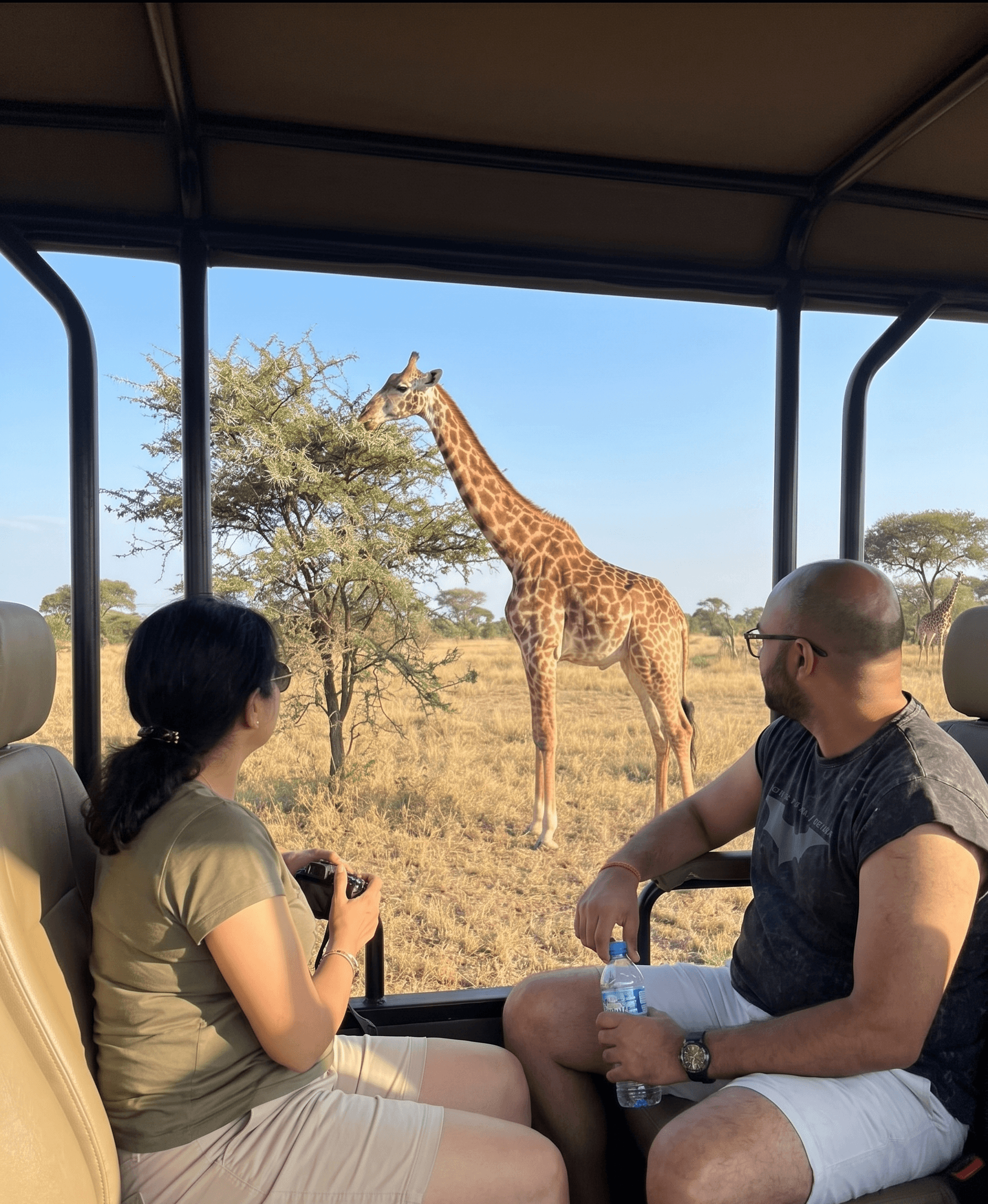 Safari giraffe from jeep