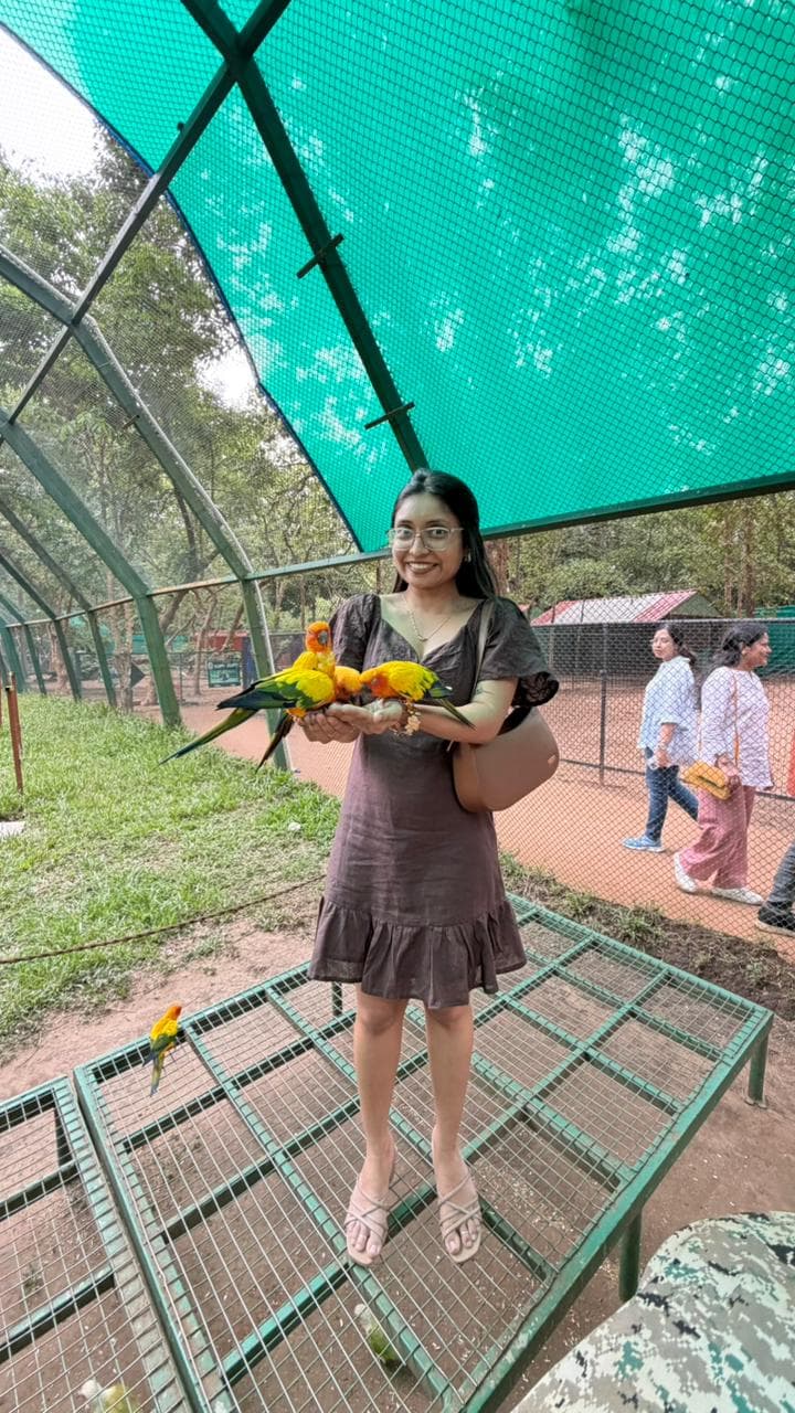 Bird park with parrots