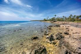 Delft Island Excursion